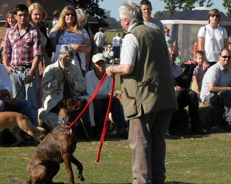 Me at a show working with a dog from the audience